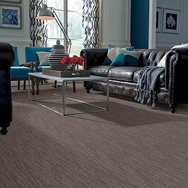Anso® Nylon Carpet | Pittsburgh, PA